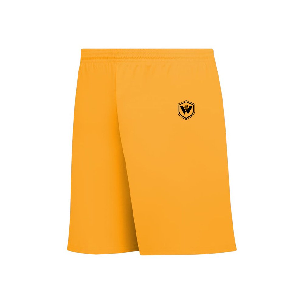 A3-6.jpg Shorts - Image 1